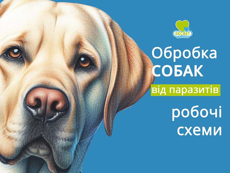 Протипаразитарна обробка собак