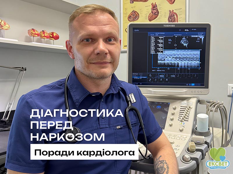Кардіолог Олександр Мирний розповідає про кардіологічні обстеження перед загальною анестезією