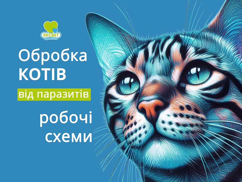 Протипаразитарні обробки - як позбутися бліх та гельмінтів у кота
