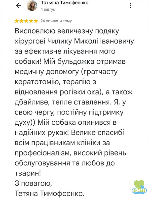 Відгук власника собаки після лікування офтальмологічної патології у ветеринарній клініці Ексвет