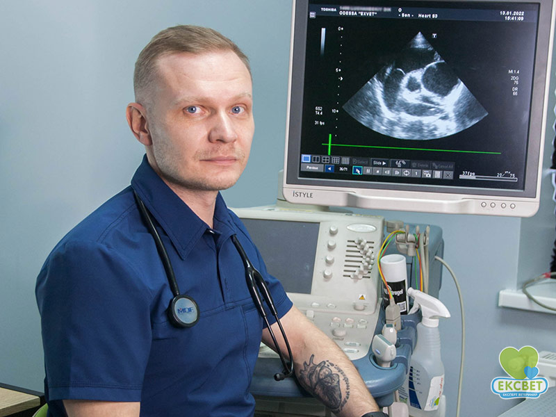 Ветеринарний кардіолог Олександр Миколайович Мирний
