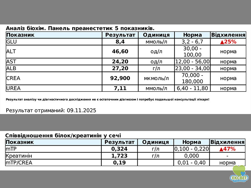 Аналізи крові та сечі кота через три місяці лікування аутоімунного гломерулонефриту - показники у нормі