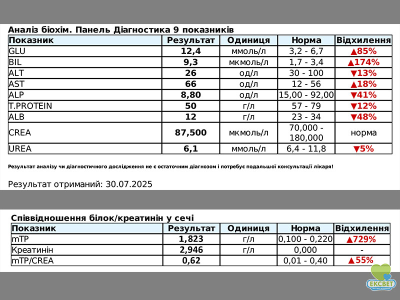 Аналізи крові та сечі у кота на момент діагностики гломерулонефриту, UPC значно підвищений- 