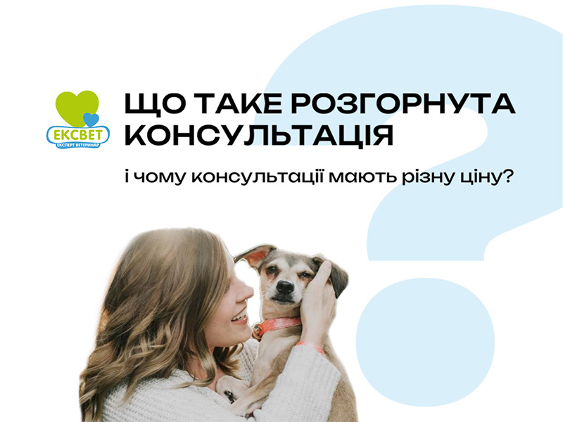 Розгорнута консультація ветеринара - що входить