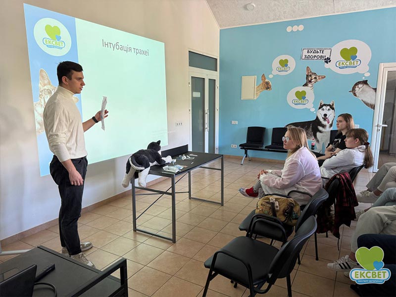 теоретично-практичні заняття для студентів у ветеринарній клініці Ексвет