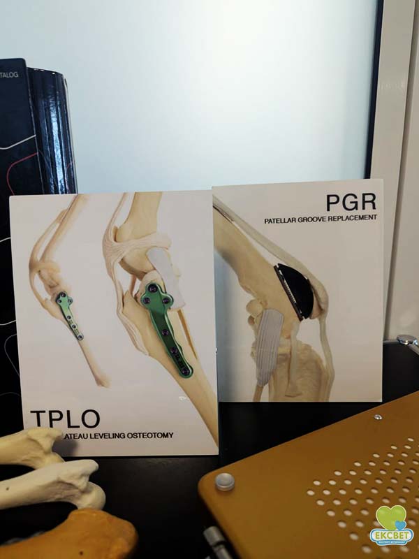 Імпланти KYON для операцій TPLO та PGR