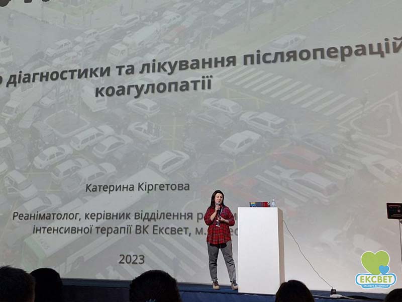 Катерина Ігорівна Кіргетова - лікар інтенсивної терапії, лектор ветеринарної конференції